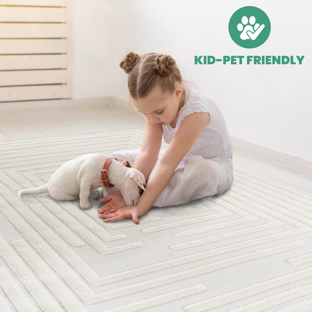 Modern Area Rug – Transform Your Space with Comfort & Style